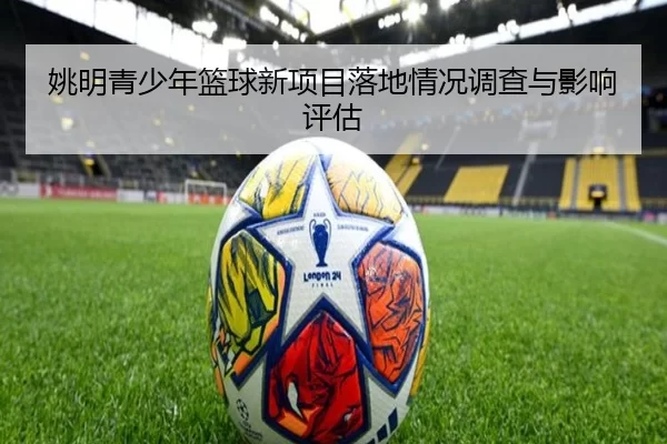 姚明青少年篮球新项目落地情况调查与影响评估