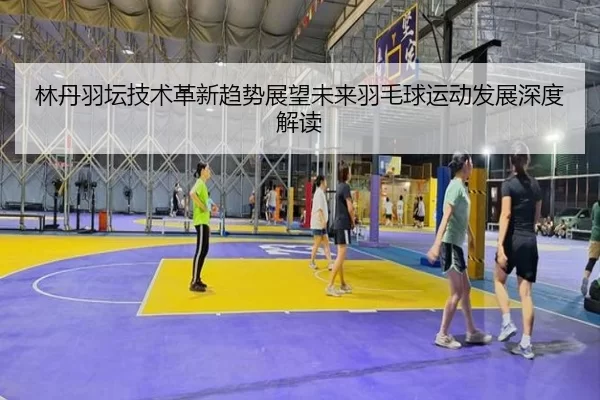 林丹羽坛技术革新趋势展望未来羽毛球运动发展深度解读